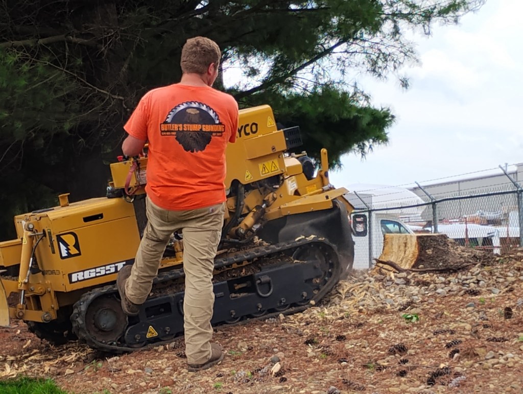 Stump Grinding South Bend