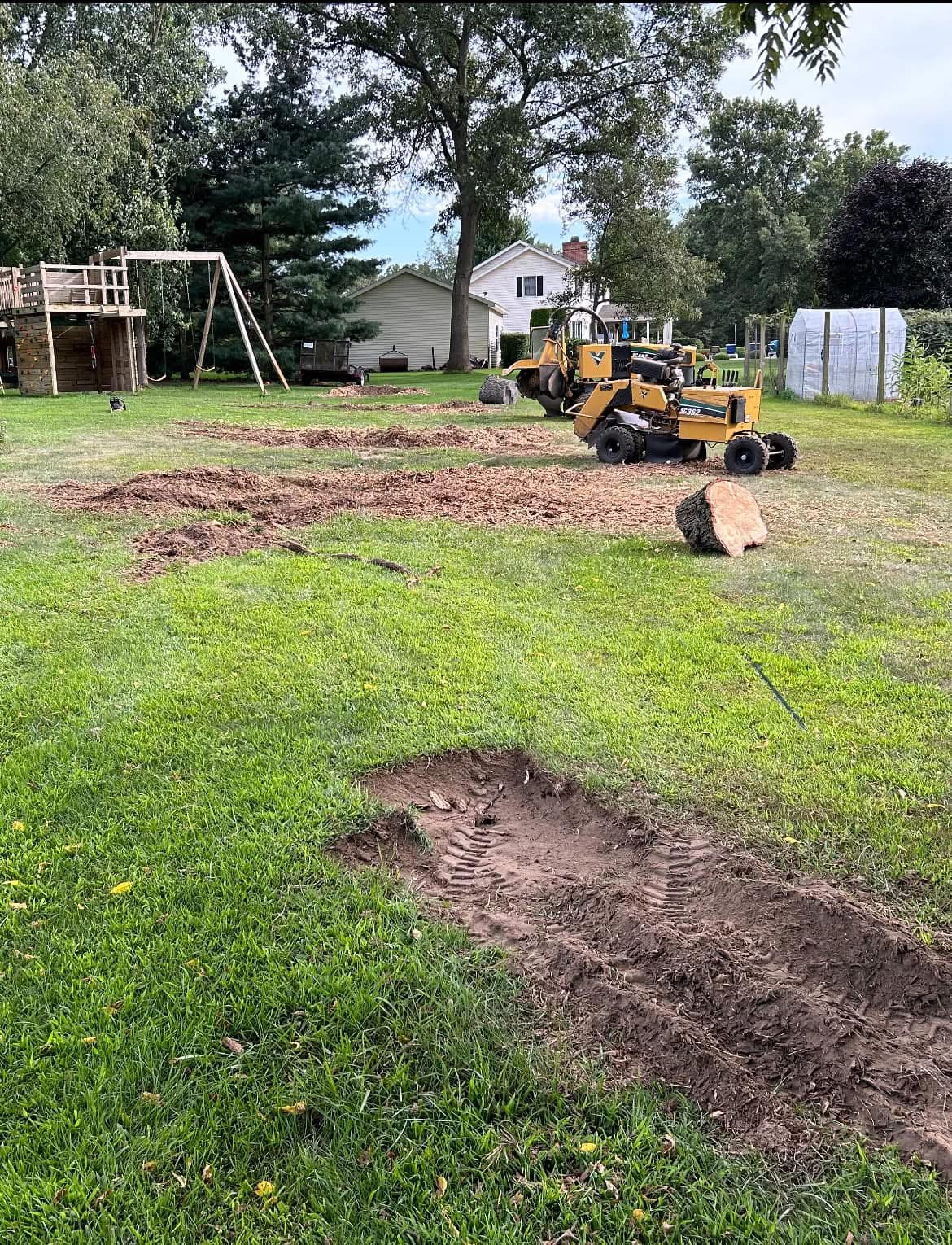 stump grinding in Elkhart